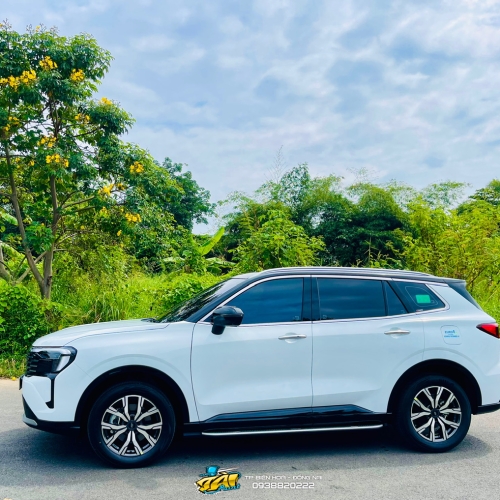 Ford Territory Titanium Sơn đen bóng