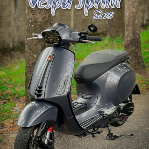 Vespa Sprint màu xám Pac-Morr